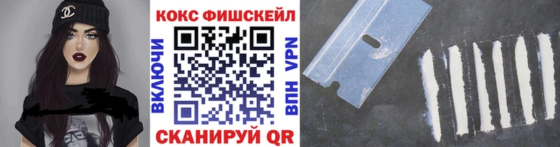 где купить   Шадринск  дарк нет наркотические препараты  КОКАИН Fish Scale 