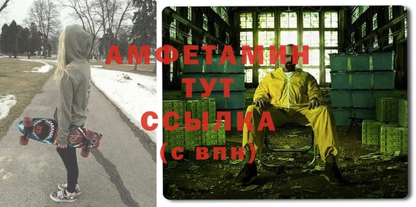 молекула духа Вязьма