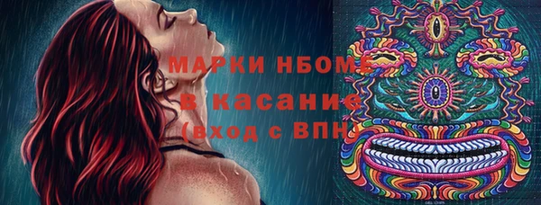 молекула духа Вязьма