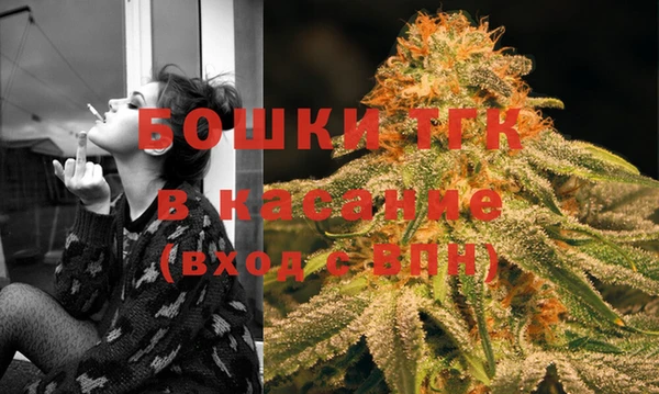 молекула духа Вязьма